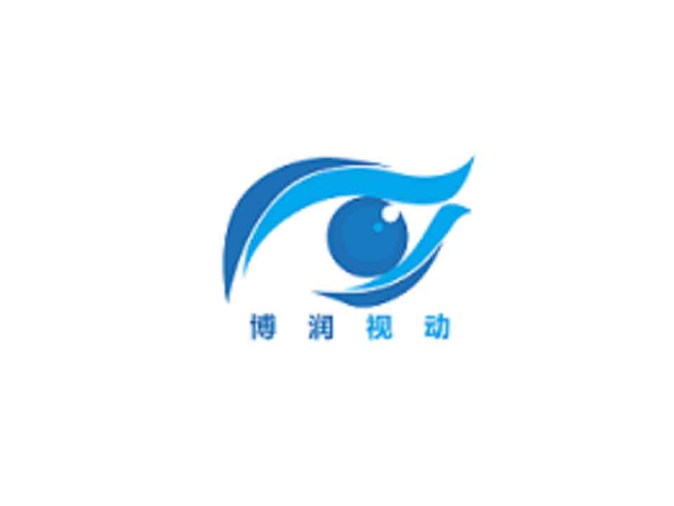 LOGO_Beijing-Brain-Vision-Science-and-Technology-Ltd.-SMALL